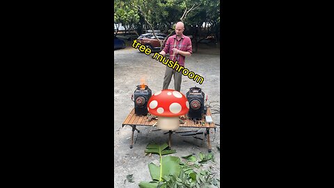 smokeless wood stove🇨🇳 #bếpcủi #woodstove#outdoor#smokeless