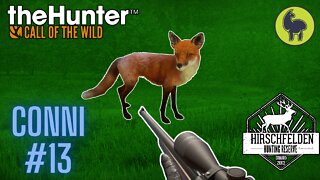 Conni #13 Hirschfelden | theHunter: Call of the Wild (PS5 4K)