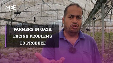 Farmers in Gaza facing problems to produce, but continue amidst war| U.S. NEWS ✅