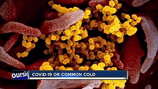 Differences between COVID-19 and the Common Cold