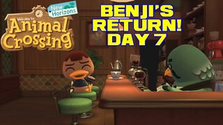 Animal Crossing: New Horizons - Benji's Return! - Day 7 😎Benjamillion