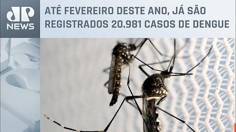 Campanha de SP mobiliza a população contra criadouros do mosquito da dengue em casa