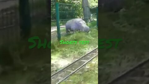 Shorts test (Ness Islands Railway derailment)