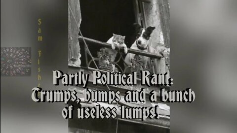 Partly Political Rant: Trumps, bumps and a bunch of useless lumps!