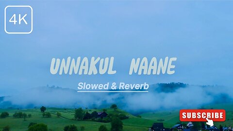 Unnakul Naane - Slowed+Reverb | Pritt