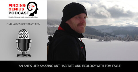 An Ant's Life: Amazing Ant Habitats and Ecology with Tom Fayle