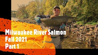 Milwaukee River Salmon Fishing Fall 2021 (Full part 1)