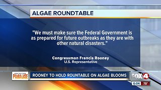 Rooney holds rountable on algae blooms