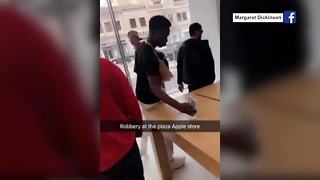 Thieves snatch electronics at Plaza Apple store