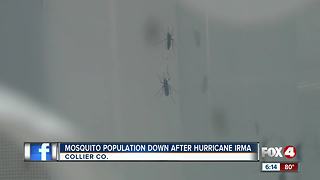 Mosquitoes a rare sight in Collier County this summer