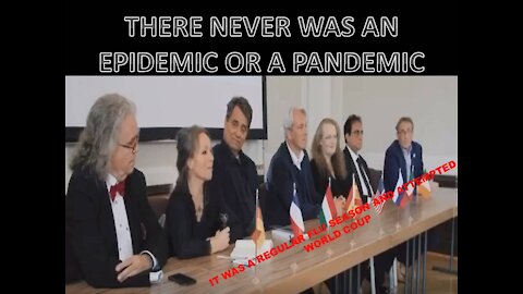 IT NEVER WAS A PANDEMIC