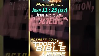 10.27.2022 | STORM MINISTRIES | Daily Bible Verse | JOHN 11:25 (ESV) | #shorts