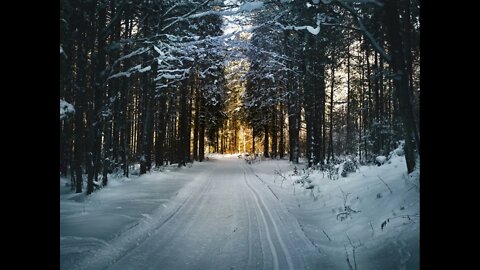 Footsteps In Snow Sounds for Relaxing, Meditation, Stress Relief