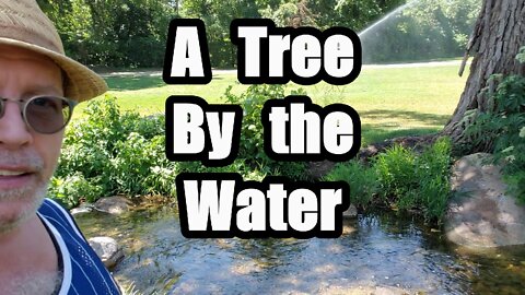 A Tree By the Water: Psalm 1