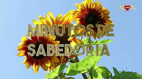 A Cooperação é o que nos traz Fraternidade - Minutos de Sabedoria #24