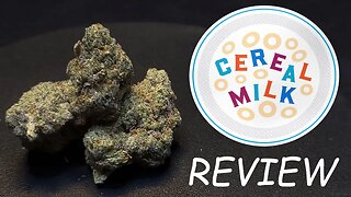 Cereal Milk Strain Review