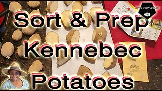 Sort & Prep For #potatoes #Kennebec - catshobbycorner