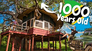 Luxurious Treehouse In Tanzania / Our First Tanzanian Safari Experience