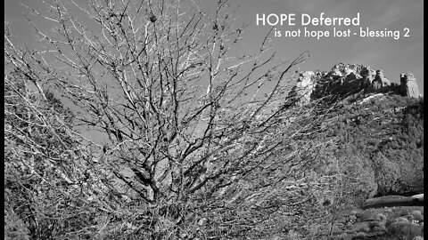 Hope Deferred Is Not Hope Lost - Blessing Two
