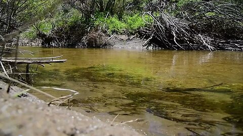 Just a Nice Creek