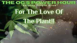 For The Love Of The Plant!!