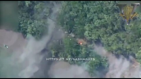 KUB-BLA kamikaze drone strikes Ukrainian positions in a forest near Kherson