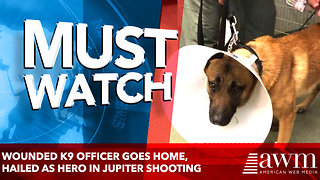 VIDEO: Wounded K9 officer goes home, hailed as hero in Jupiter shooting