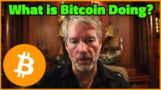 What is Bitcoin doing?! - MicroStrategy CEO Michael Saylor