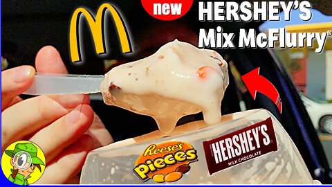 McDonald's® 🍔 HERSHEY'S MIX MCFLURRY® Review 🍫🍦🥄 | Peep THIS Out! 🕵️‍♂️