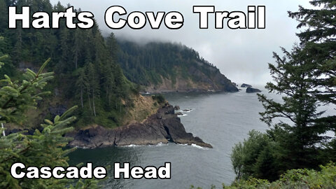 Harts Cove hike at Cascade Head - August 2021 Coast Trip