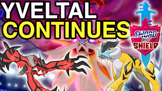 YVELTAL team continues DOMINATING! • VGC Series 8 • Pokemon Sword & Shield Ranked Battles