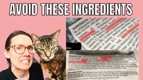 Ingredients I would avoid in cat food