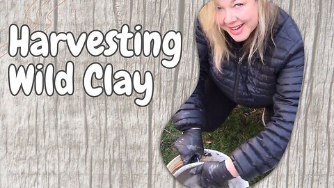 Harvesting my own "Wild Clay"