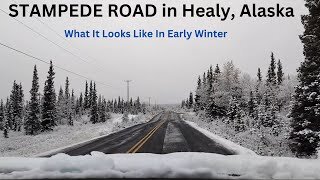 Stampede Road in Early fall. Healy, Alaska - Beautiful