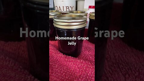 10 jars of Grape Jelly made today #homemadejelly #preparation #storeforwinter