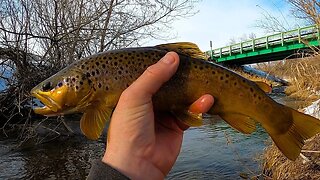 Catching TROUT with Custom Made Spinners