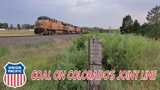 Union Pacific Coal Train on the Joint Line near Larkspur, CO