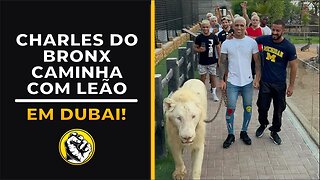 CHARLES DO BRONX CAMINHA COM LEÃO EM DUBAI!