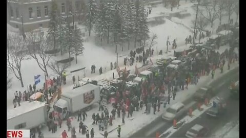 Canadian Convoy Protesters Invade MSNBC Live Report Yelling ‘Freedom’ at Top of Lungs