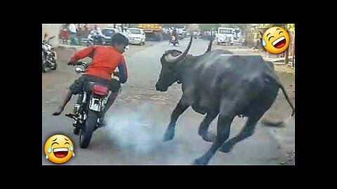 Funny videos 😂 😂 😂]Funniest videos ever 😂 😂 2024