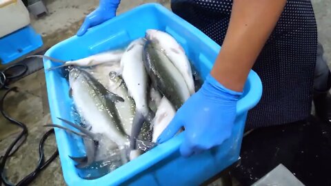 amazing skill! Sophisticated milkfish cutting skills! | taiwan street food-2