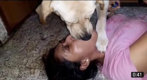 Dog kissing girl so funny sceen
