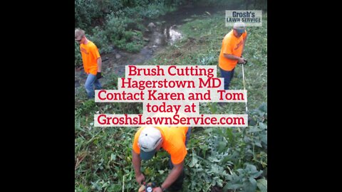 Brush Cutting Hagerstown Maryland Brush Removal Landscaping Contractor