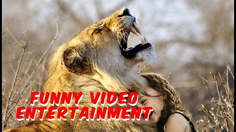 Troll Prank Dog Funny & fake Lion and Fake Tiger Prank To dog & Huge Box Prank to dog