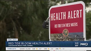 Red tide bloom health alert