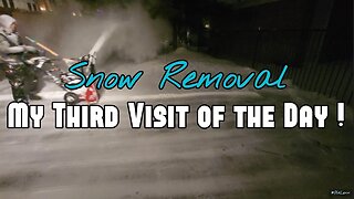 Blizzard in Ontario ! • Fast Snowblowing • Snow Removal | Toro Snowmaster • Lenny The Carhartt Guy