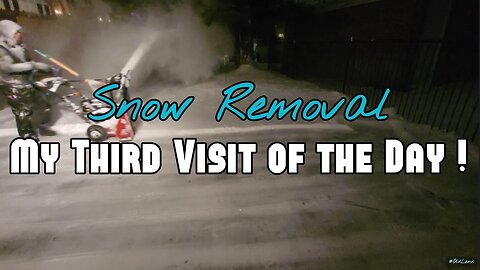 Blizzard in Ontario ! • Fast Snowblowing • Snow Removal | Toro Snowmaster • Lenny The Carhartt Guy