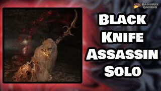 Black Knife Assassin Solo - Elden Ring