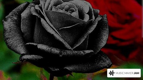 Black Rose *Chant* Instrumental