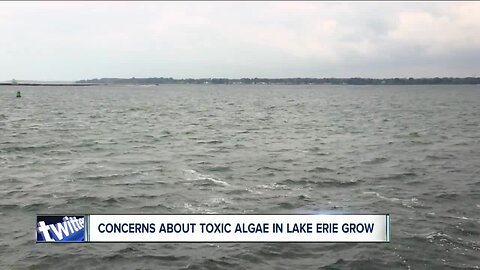 Concerned about toxic algae found in Lake Erie? Don't be.